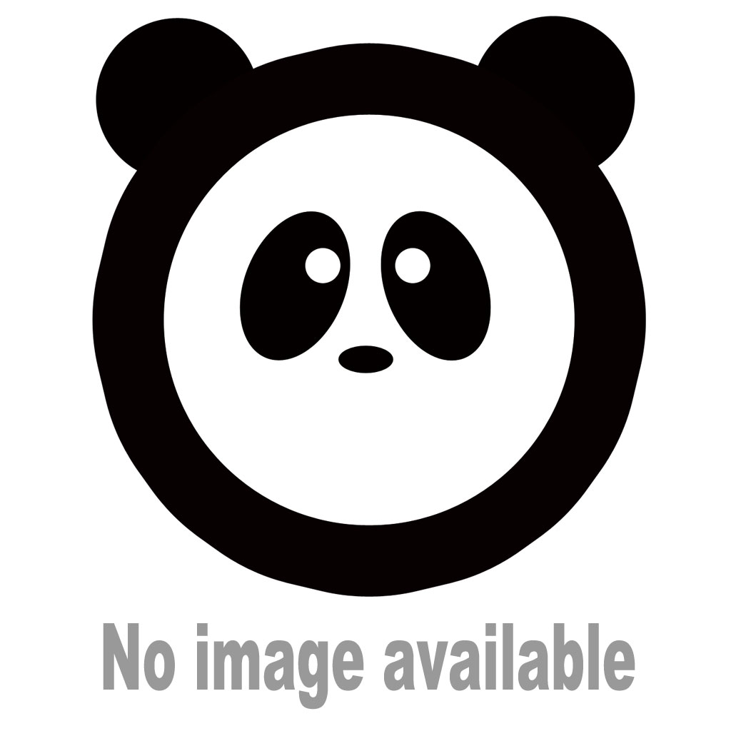上野動物園より、ジャイアントパンダの映像配信に関するお知らせ